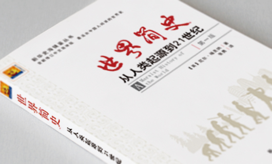 新华史海镜鉴系列丛书封面设计（二）