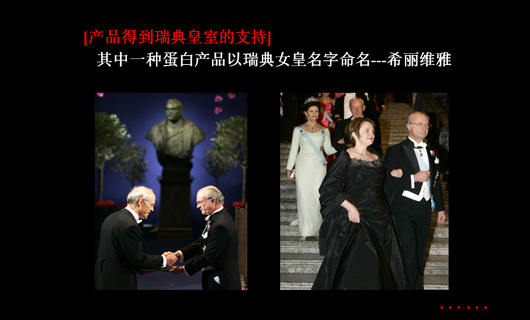 瑞典葛丽泰保健食品中国市场营销策略 瑞典葛丽泰保健食品中国市场营销策略