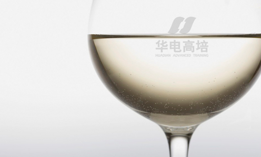 华电高培标志设计 华电高培标志设计