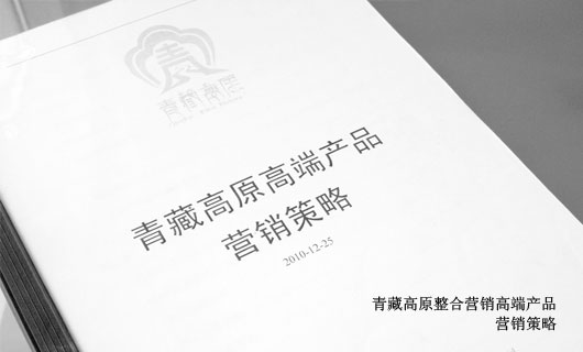 青藏高原食品整合营销策划与执行