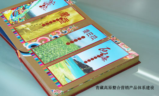 青藏高原食品整合营销策划与执行