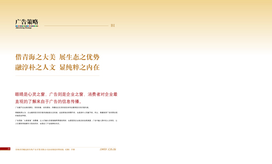 青藏高原BI行为构建