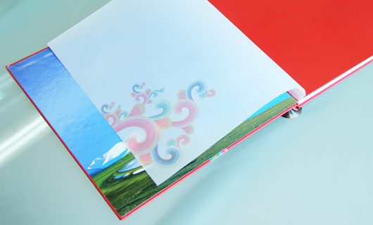 青藏高原2010企业画册设计