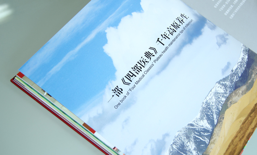 青藏高原2010企业画册设计