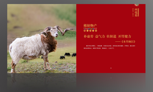 画册设计
