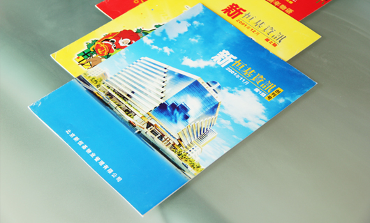 新恒基集团期刊设计